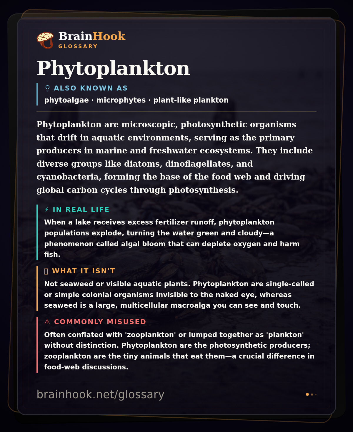 Phytoplankton — BrainHook Glossary card