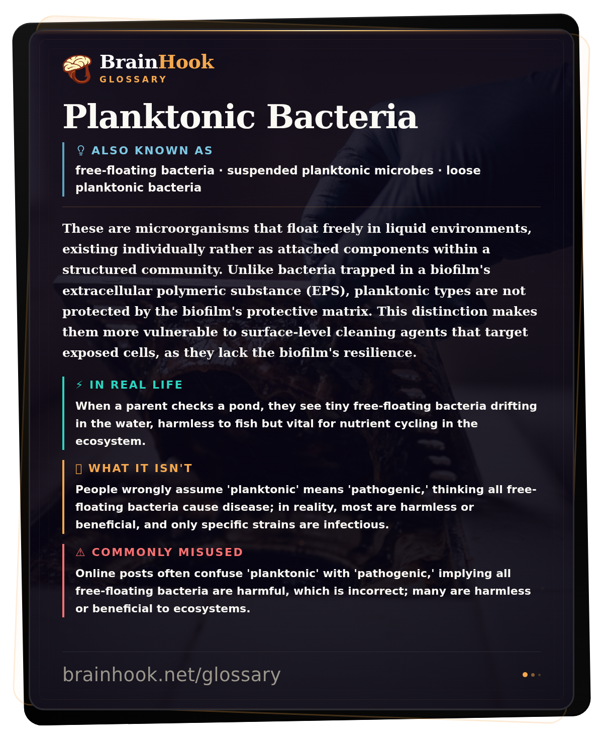 Planktonic Bacteria — BrainHook Glossary card