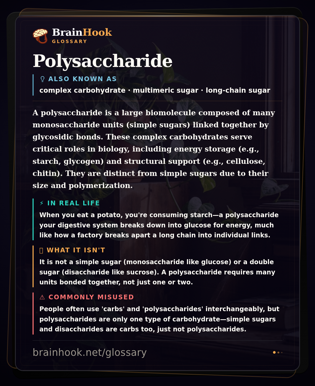 Polysaccharide — BrainHook Glossary card