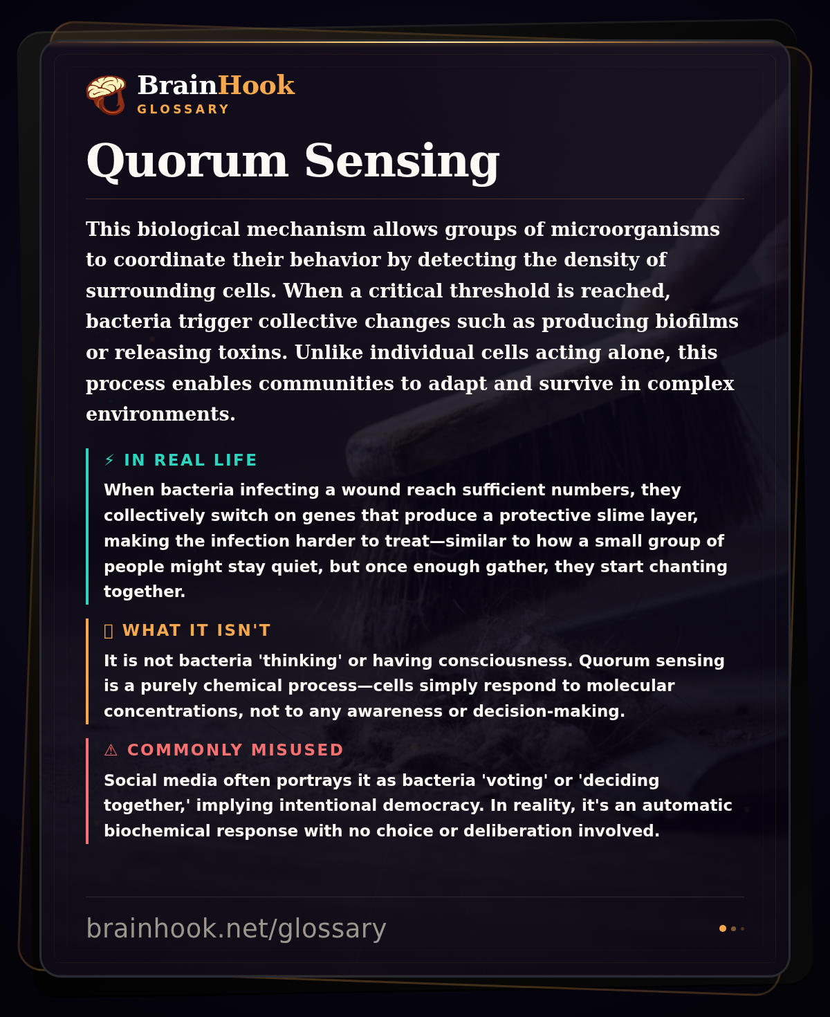 Quorum Sensing — BrainHook Glossary card