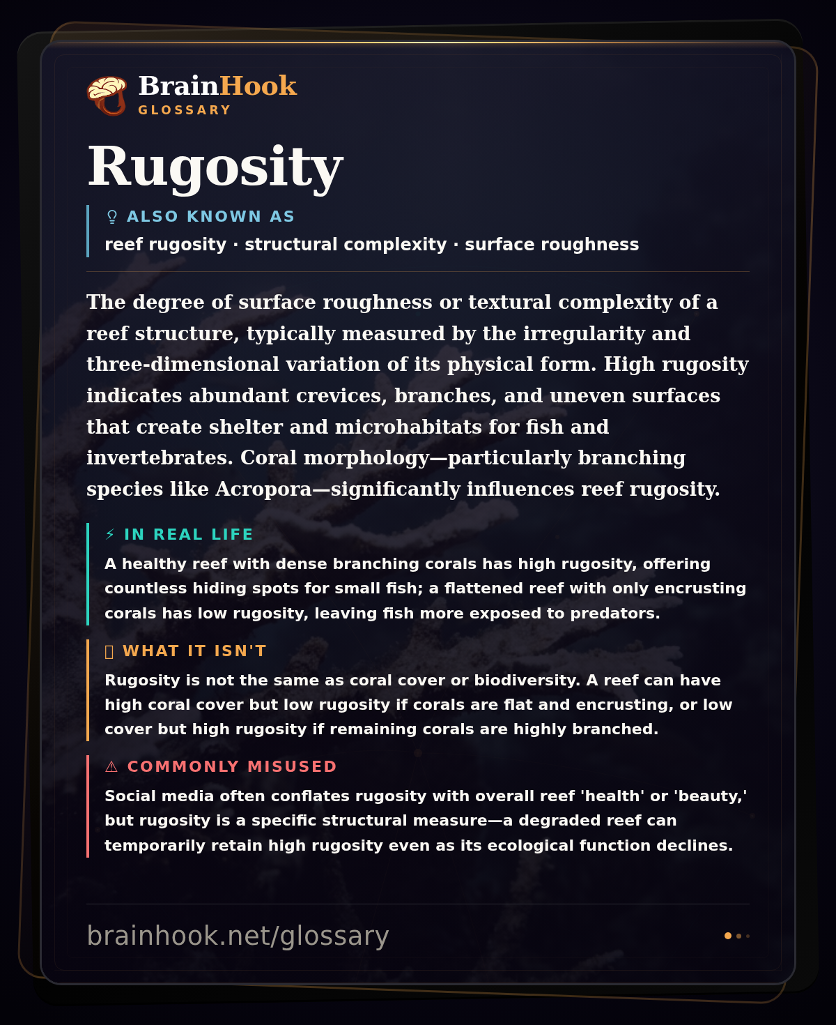 Rugosity — BrainHook Glossary card