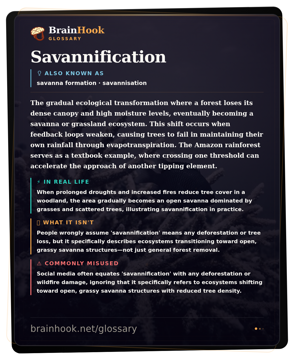 Savannification — BrainHook Glossary card