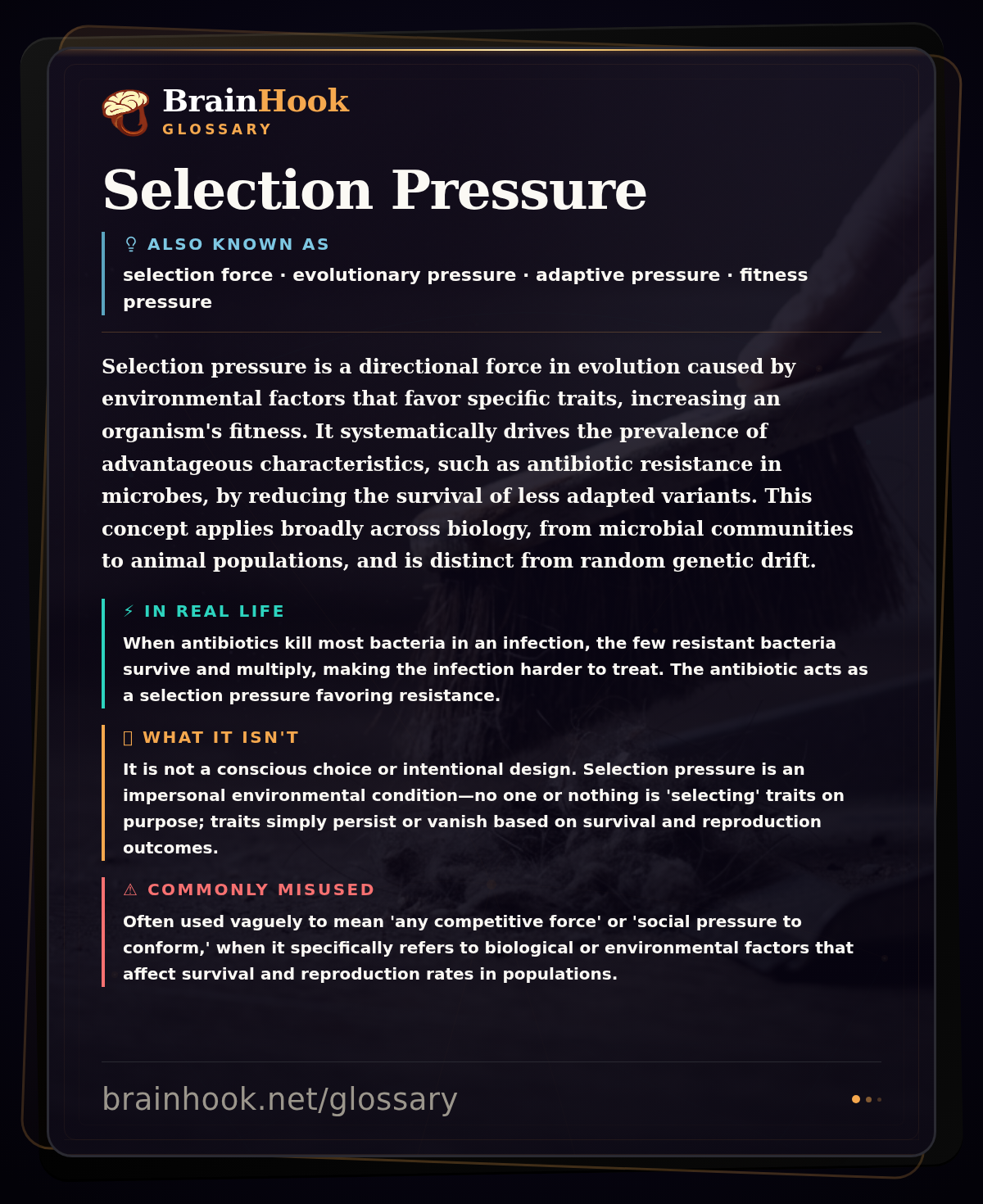 Selection Pressure — BrainHook Glossary card