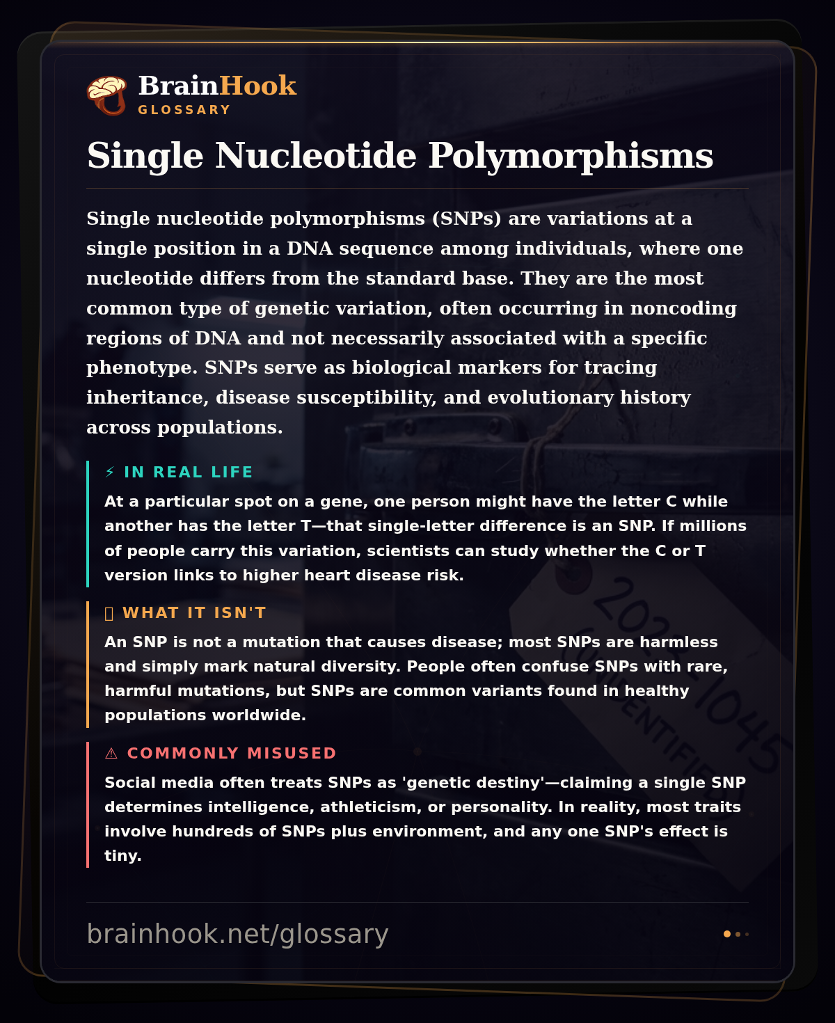 Single Nucleotide Polymorphisms — BrainHook Glossary card