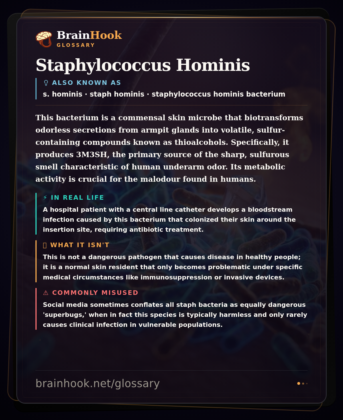 Staphylococcus Hominis — BrainHook Glossary card