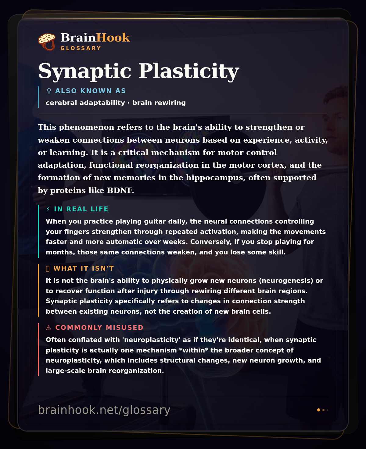 Synaptic Plasticity — BrainHook Glossary card