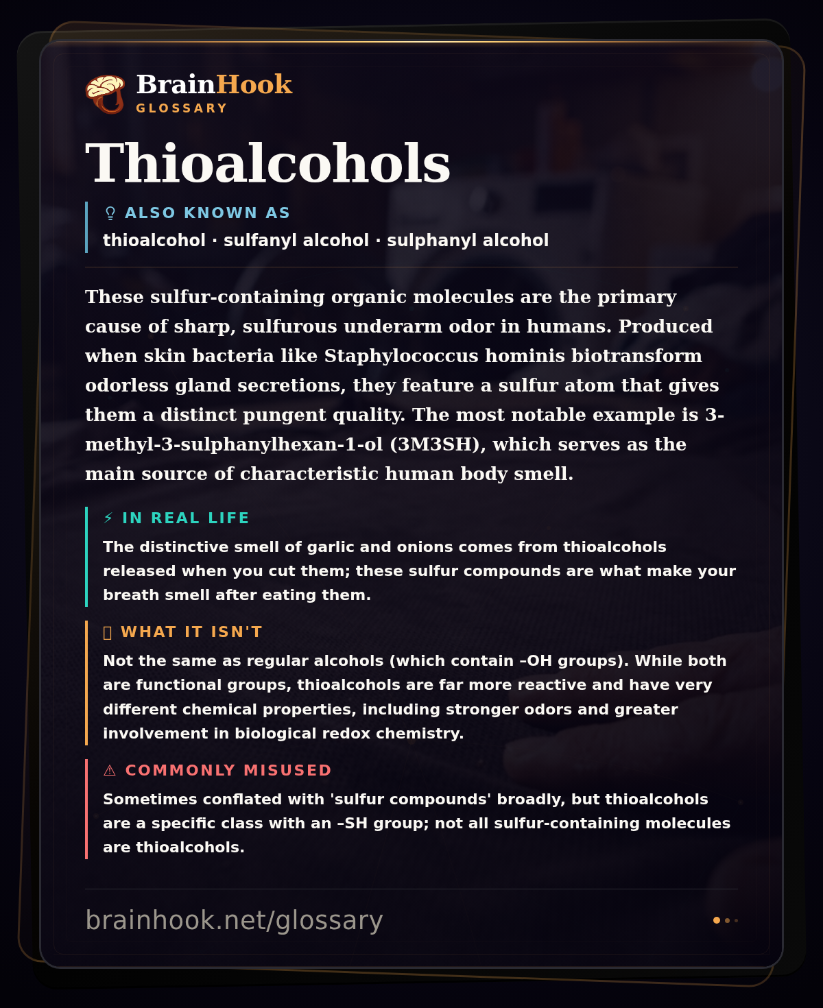 Thioalcohols — BrainHook Glossary card