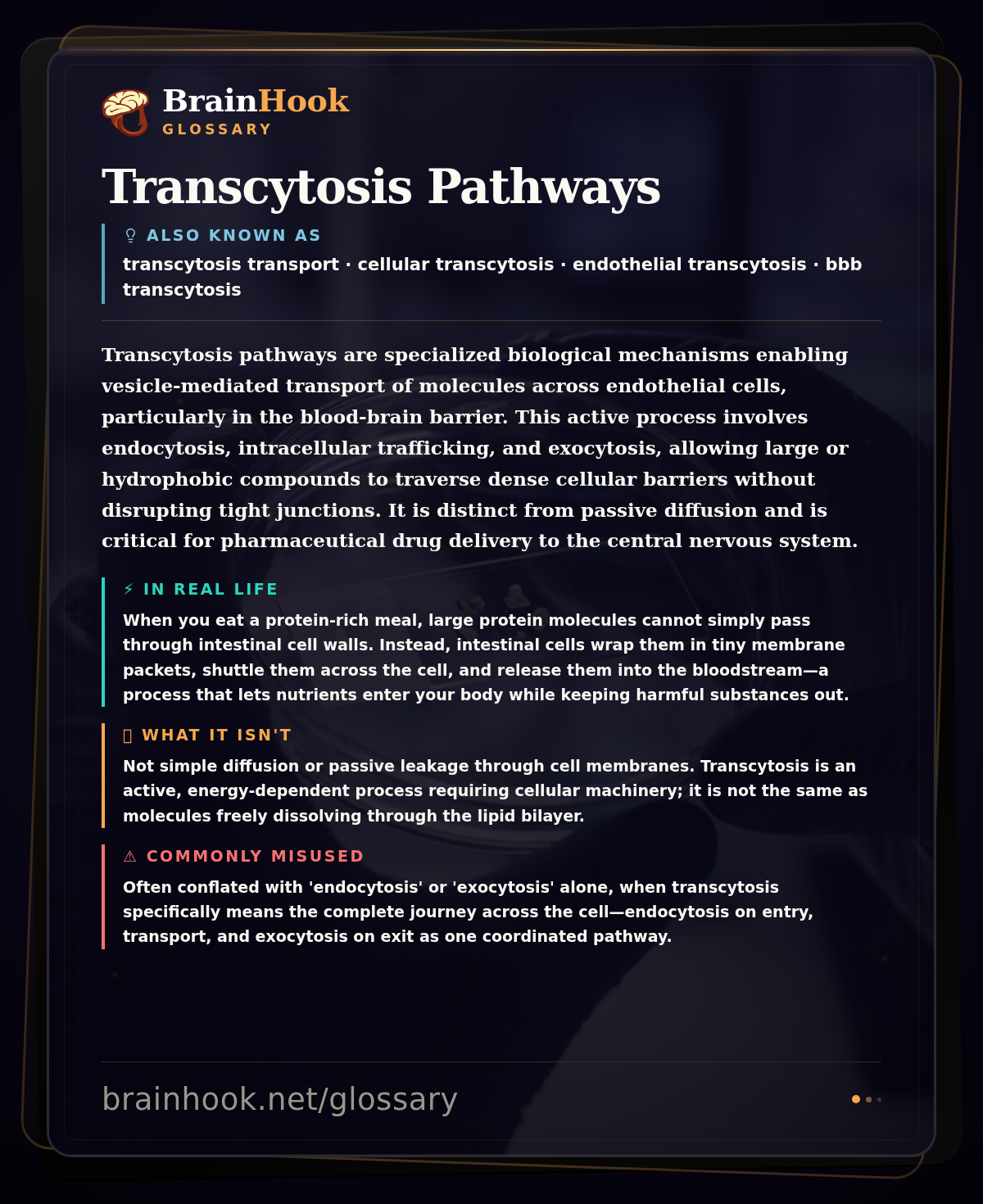 Transcytosis Pathways — BrainHook Glossary card