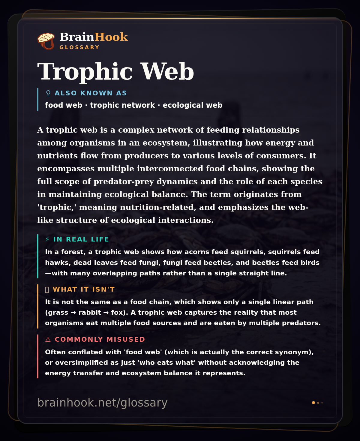 Trophic Web — BrainHook Glossary card