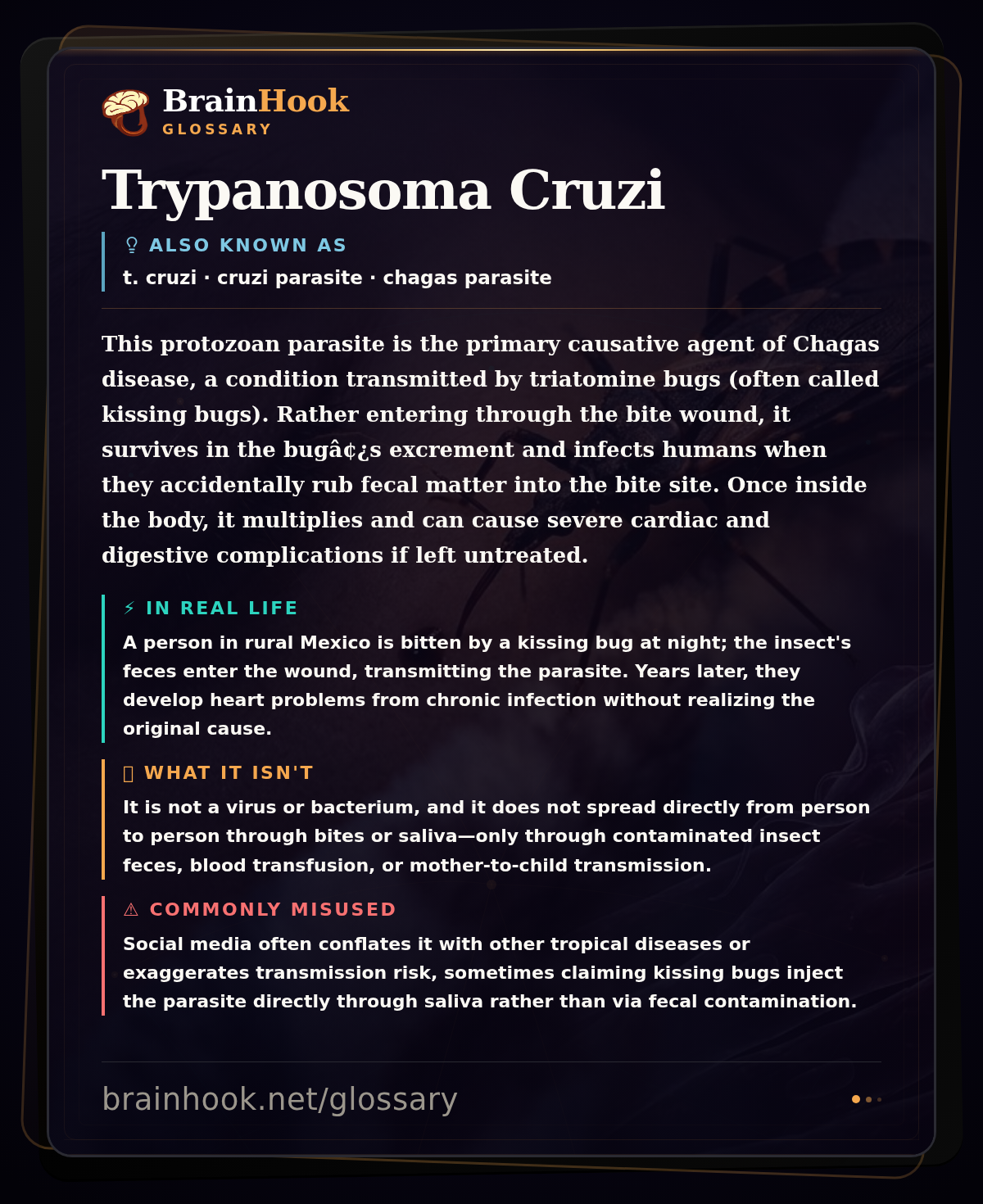 Trypanosoma Cruzi — BrainHook Glossary card