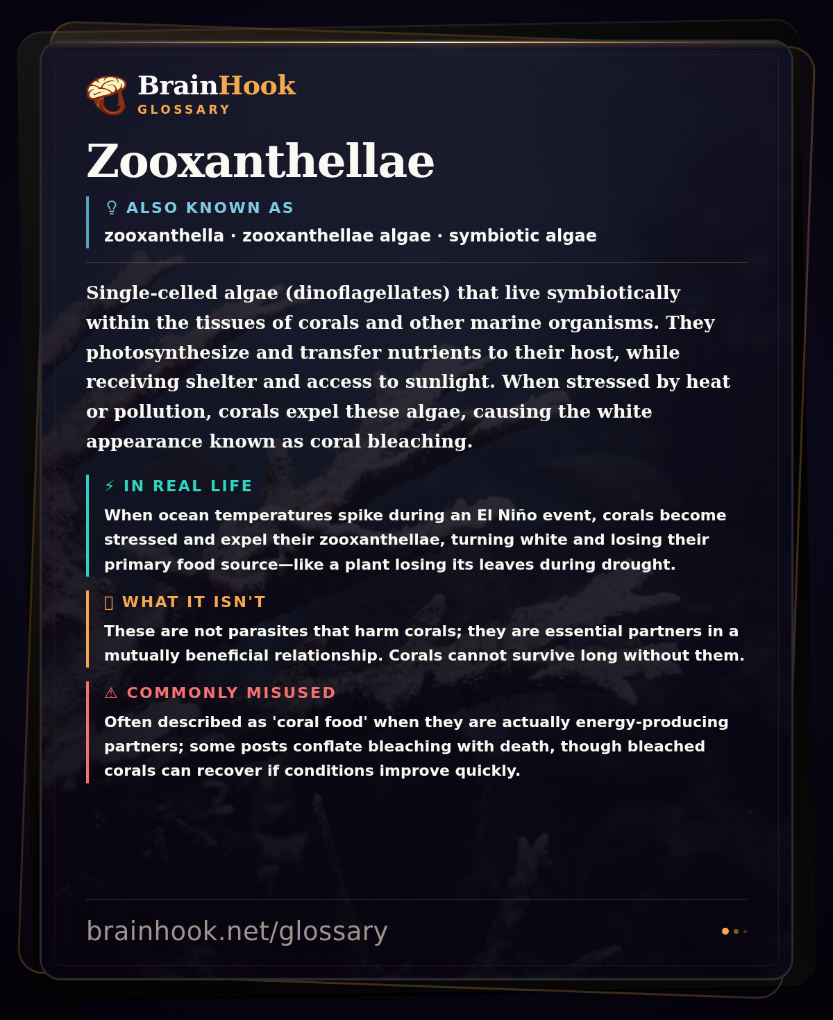 Zooxanthellae — BrainHook Glossary card